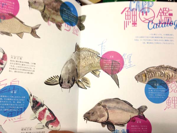 CoiCoi　vol.1