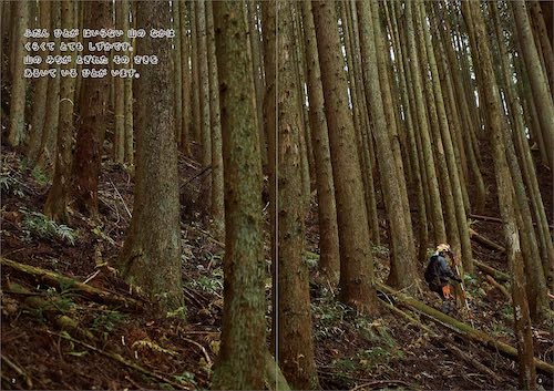 山の木、とどけ!: つなげるつながる木の仕事 ,キッチンミノル